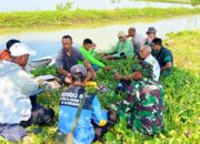 Puluhan Warga dan TNI Lamongan Gotong Royong Bongkar Tanggul Penghambat Irigasi