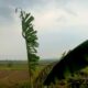 IMG 20260509 WA0008