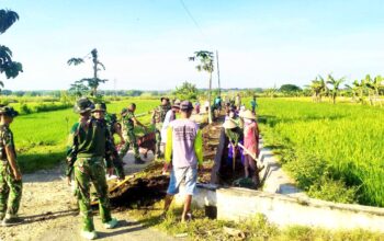 TNI Lamongan Masuk Lumpur Bersama Warga, Lingkungan Dusun Katar Kembali Sehat