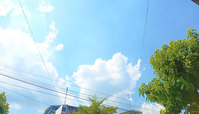 Cuaca Bojonegoro 14 Mei 2026: Cerah Berawan, Bengawan Solo Aman