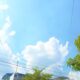 IMG 20260514 WA0004