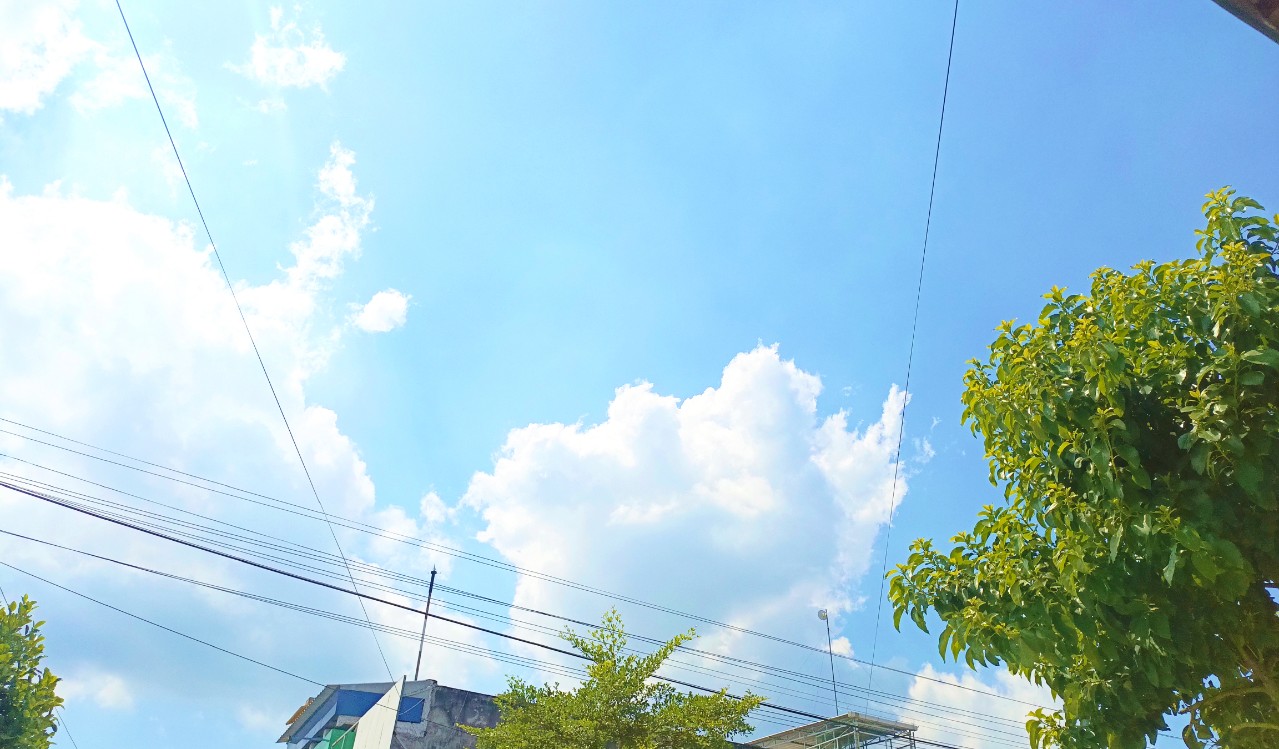 IMG 20260514 WA0004