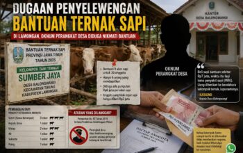 Dugaan Penyimpangan Bantuan Sapi Muncul di Lamongan, Kades Ikut Terima
