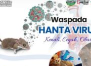 Warga Bojonegoro Diminta Waspada Hantavirus, Penyakit Mematikan dari Tikus