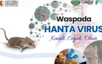 Warga Bojonegoro Diminta Waspada Hantavirus, Penyakit Mematikan dari Tikus