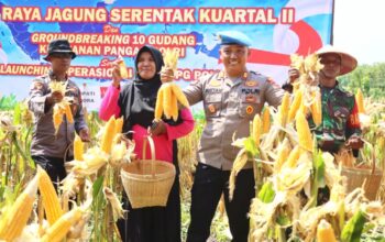 Polri Bangun Gudang Pangan dan SPPG, Panen Raya Jagung di Blora Jadi Sorotan