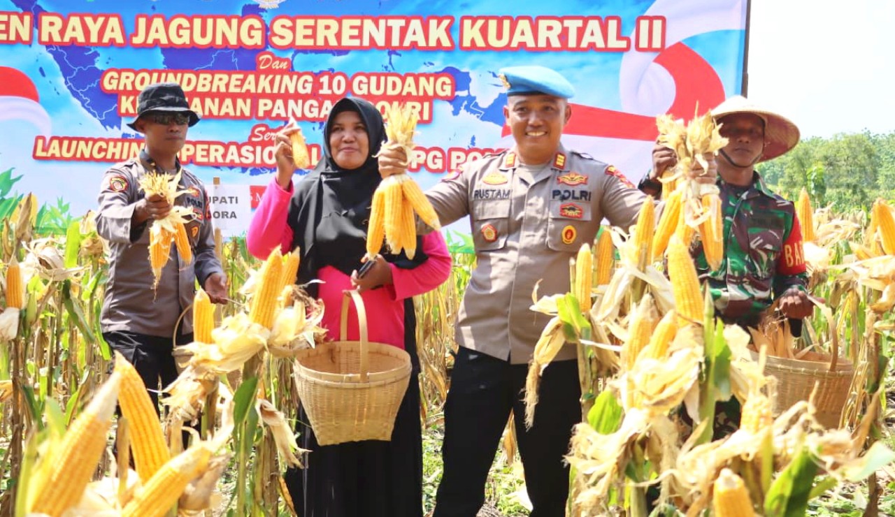 IMG 20260517 WA0001