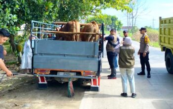Cegah PMK dan LSD, Petugas Periksa Ternak di Perbatasan Jombang-Lamongan