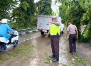 Truk Tangki Ringsek Usai Tabrak Pohon di Babat Lamongan, Sopir Selamat