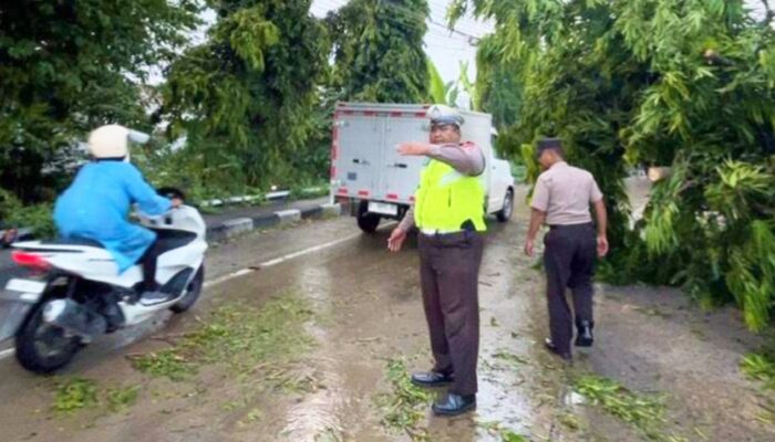 Truk Tangki Ringsek Usai Tabrak Pohon di Babat Lamongan, Sopir Selamat