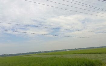 IMG 20260525 WA0003