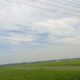 IMG 20260525 WA0003