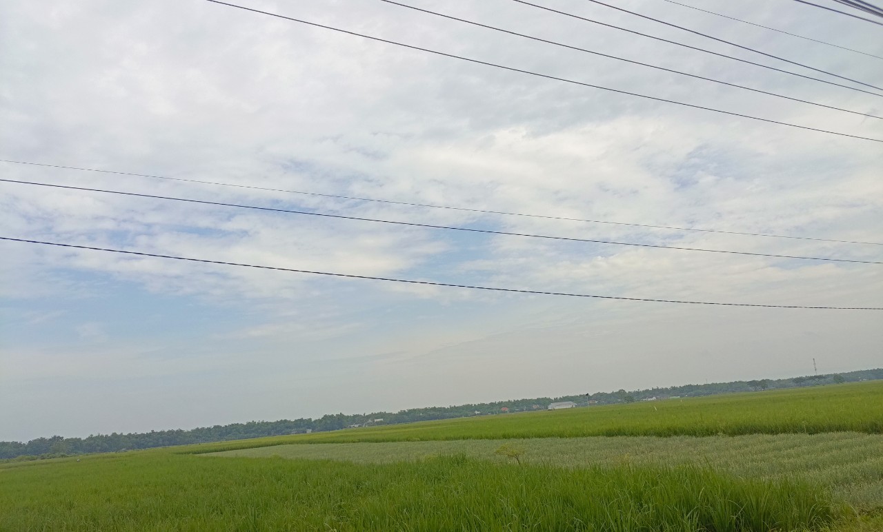 IMG 20260525 WA0003