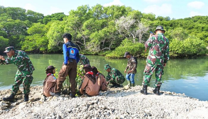 Ratusan Peserta Turun ke Pantai, Kodim Lamongan Tanam Mangrove Bersama Warga