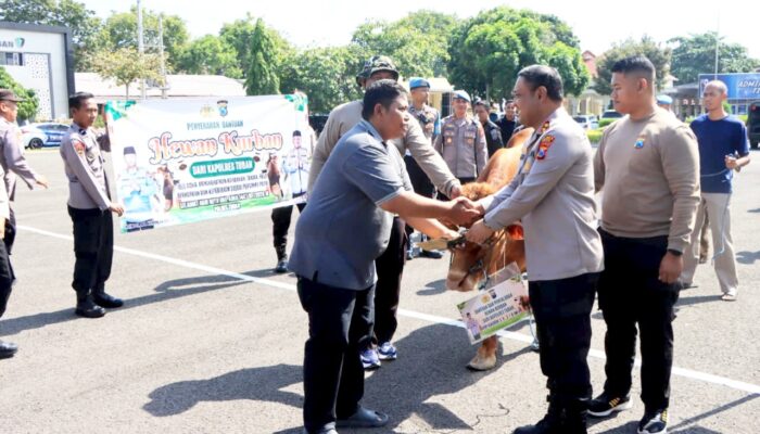 Idul Adha 2026, Polres Tuban Salurkan 11 Sapi dan 31 Kambing