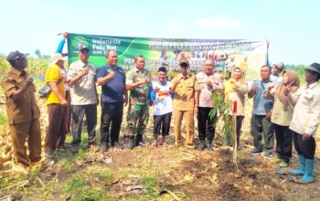 Babinsa Solokuro Lamongan Bersama Warga dan Perhutani Tanam Alpukat hingga Sengon