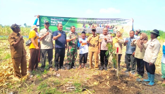 Babinsa Solokuro Lamongan Bersama Warga dan Perhutani Tanam Alpukat hingga Sengon