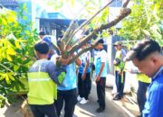 Pohon Pule Ditanam di Pesarean Kanjeng Soemantri Bojonegoro, Ini Tujuannya