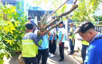 Pohon Pule Ditanam di Pesarean Kanjeng Soemantri Bojonegoro, Ini Tujuannya