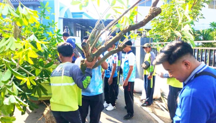 Pohon Pule Ditanam di Pesarean Kanjeng Soemantri Bojonegoro, Ini Tujuannya