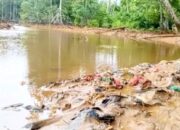 Dugaan Pencemaran Teluk Buli Halmahera Timur, WALHI hingga Akademisi Desak Audit Menyeluruh Aktivitas PT FHT