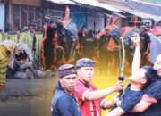 Songgoriti Kota Batu Bangkitkan Warisan Leluhur Lewat Ngarak Banteng 1 Suro