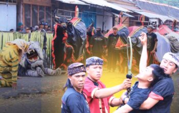 IMG 20260531 WA0011