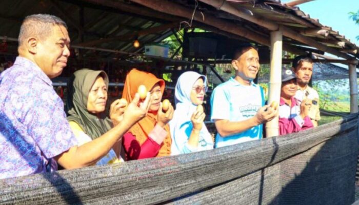 Program Gayatri Berbuah Hasil, Warga Bojonegoro Kini Panen Puluhan Telur per Hari