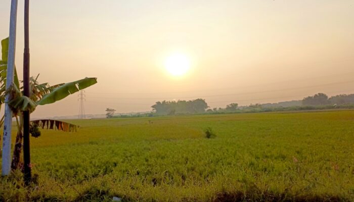 Update Cuaca Bojonegoro 2 Juni 2026, Suhu Siang Capai 32 Derajat