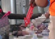 Bayi Baru Lahir Ditinggalkan di Warung Tuban, Warga Rengel Dibuat Syok