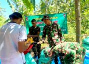 Dukung Program Nasional, Yonif TP 885 Belibis Putih Terjun Langsung Panen Jagung di Bojonegoro