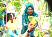 Gerabah Rendeng dan Melon Premium Jadi Magnet Baru Wisata Bojonegoro