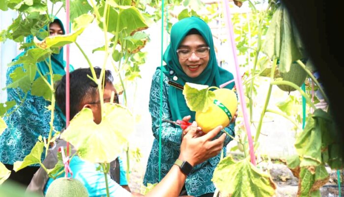 Gerabah Rendeng dan Melon Premium Jadi Magnet Baru Wisata Bojonegoro