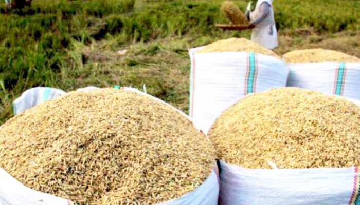 Bojonegoro Bertahan di Tengah Penurunan Migas, Ini Rahasianya