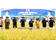 PDRB Bojonegoro Tembus Rp28,44 Triliun, Sektor Pertanian Jadi Motor Utama