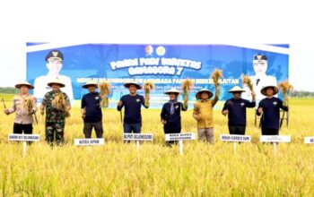 PDRB Bojonegoro Tembus Rp28,44 Triliun, Sektor Pertanian Jadi Motor Utama