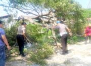 Pohon Roboh di Jalur Utama Lamongan, Arus Lalu Lintas Kembali Lancar