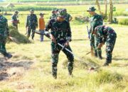 Brigif TP 33 Naga Sesha dan Warga Cancung Bojonegoro Kompak Gelar Karya Bakti Massal