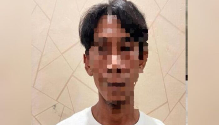 Tak Berkutik, Pencuri HP Milik Nenek 68 Tahun Diciduk Polisi Lamongan