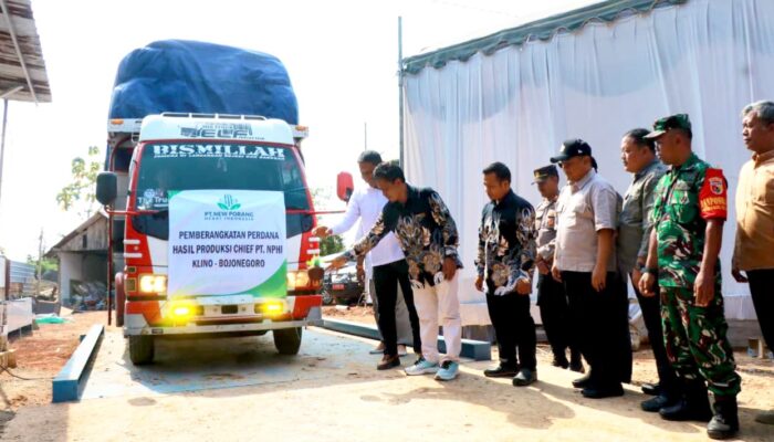 Bojonegoro Punya Pabrik Porang Baru, Peluang Besar bagi Petani dan Investor