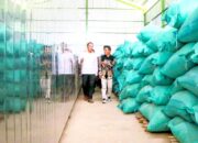 Dari Hutan ke Pasar Dunia, Porang Bojonegoro Kini Punya Pabrik Sendiri