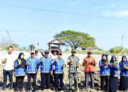 Petani Mendogo Ngimbang Lamongan Dapat Suntikan Semangat, Tembakau Manilo Mulai Ditanam