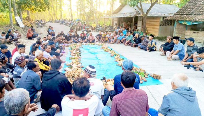 Tradisi Unik Sedulur Sikep Samin Bojonegoro, Hewan Ternak Ikut Dapat Berkah Gumbregan