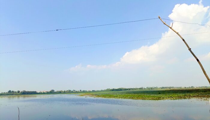 Update Cuaca Bojonegoro: Cerah Seharian