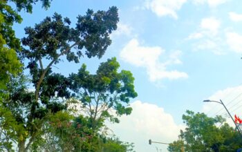 IMG 20260627 WA0013