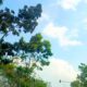 IMG 20260627 WA0013