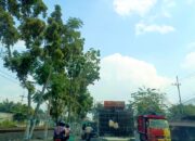 Update Cuaca Bojonegoro: Suhu Capai 30 Derajat