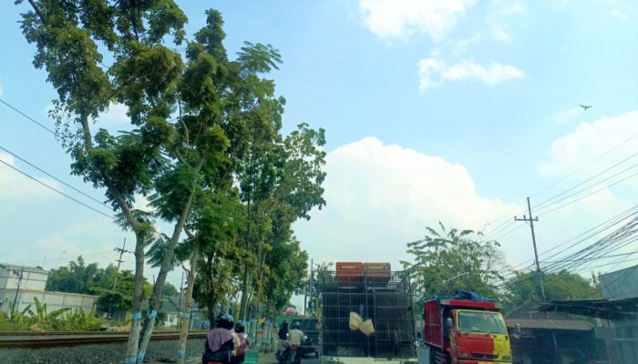 Update Cuaca Bojonegoro: Suhu Capai 30 Derajat