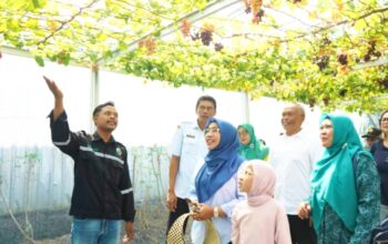 IMG 20260701 WA0062