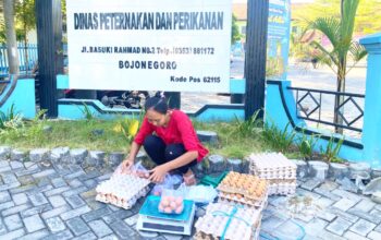 IMG 20260703 WA0031